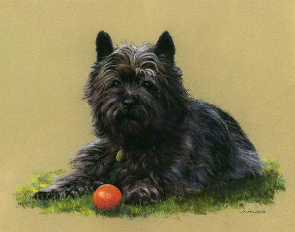 William - pastel by Jon Asher